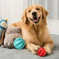 Rope Ball Toy