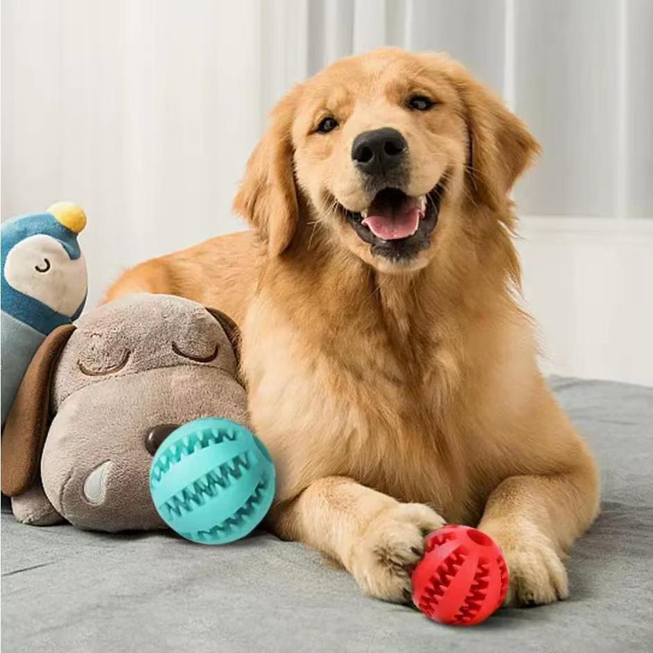 Rope Ball Toy