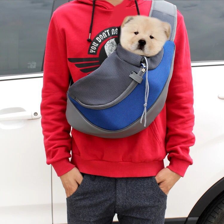Small Dog Carrier
