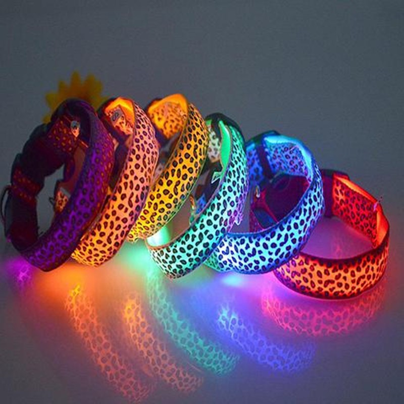 Rechargeable LED dog collar