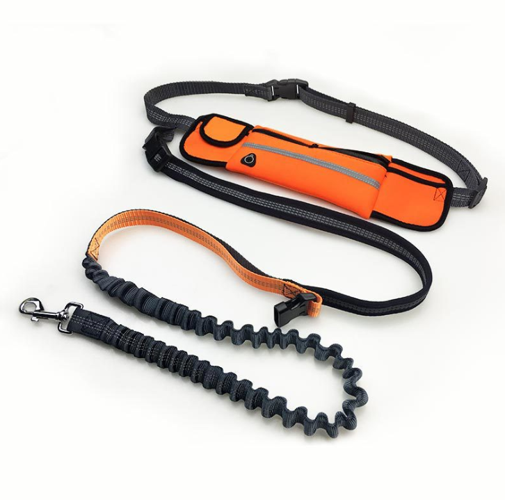 Hands-Free Running Lead & Waist Belt
