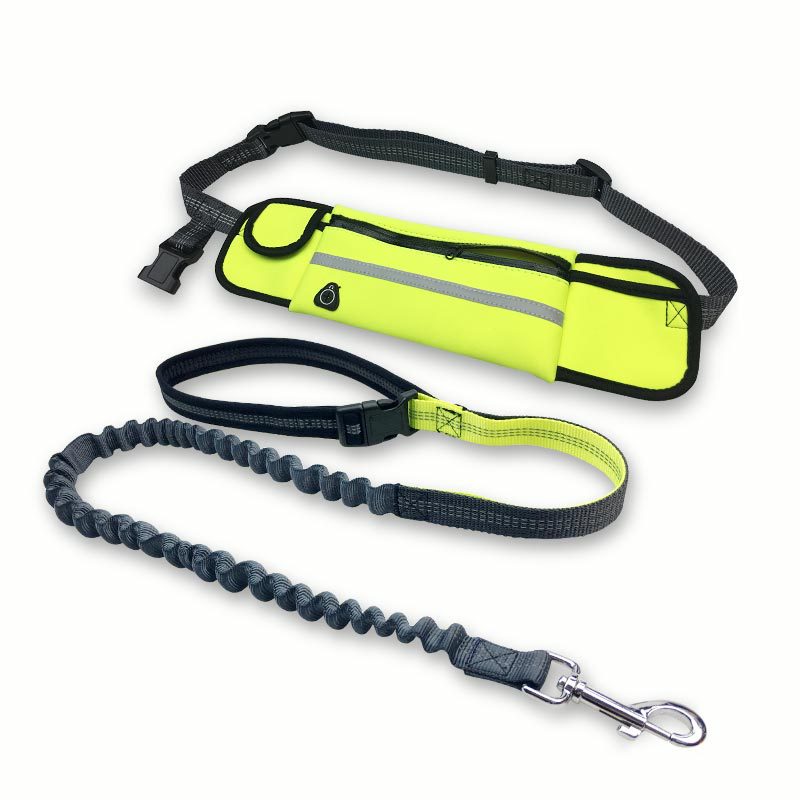 Hands-Free Running Lead & Waist Belt