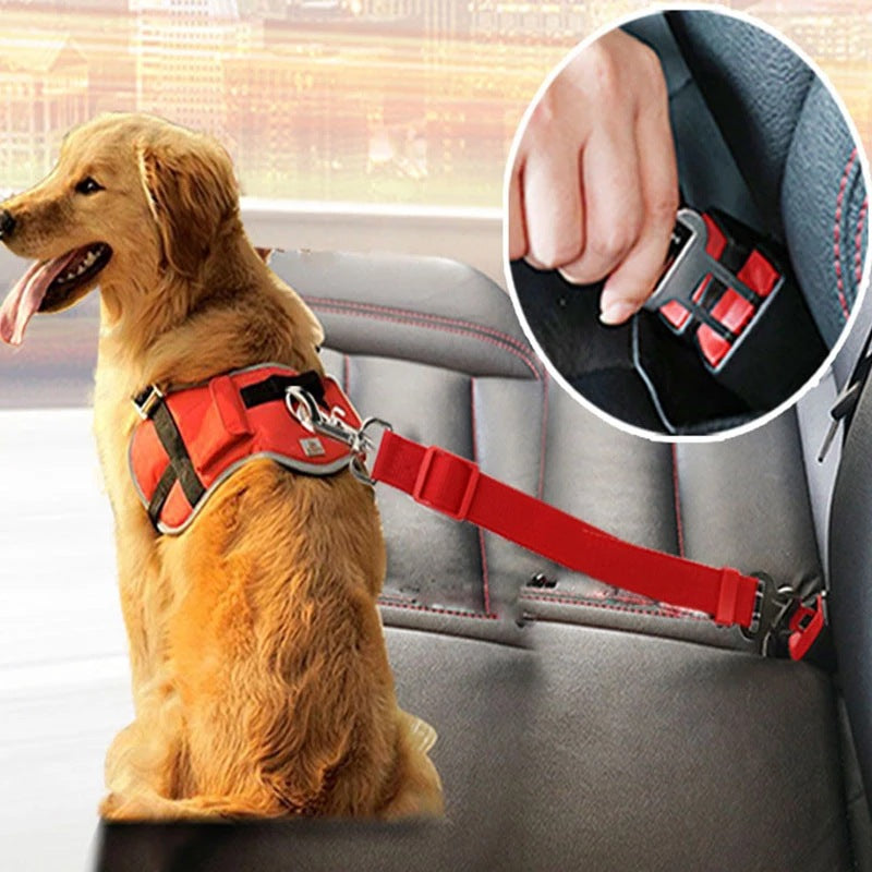 Dog Car Seatbelt Clip
