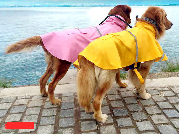 Dogs wearing raincoats