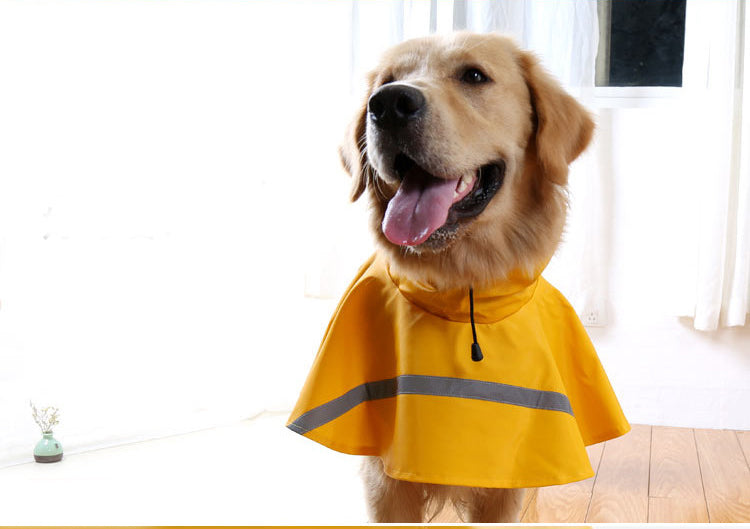 Golden retriever in a yellow reflective dog raincoat