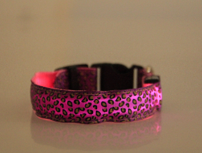 Rechargeable LED dog collar