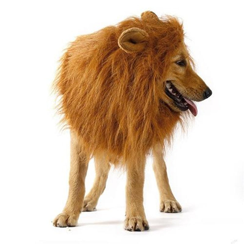 Lion Mane