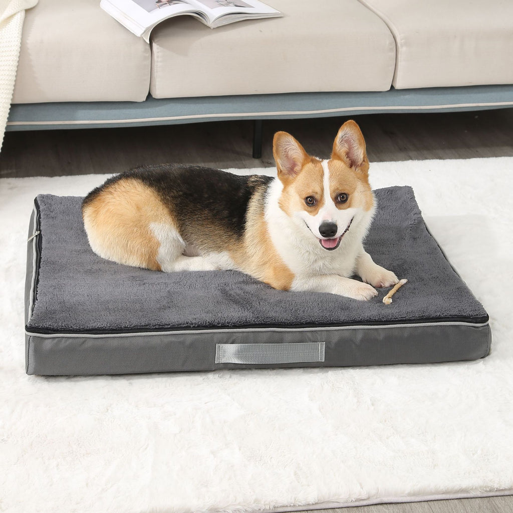 Corgi on a grey memory foam dog mattress