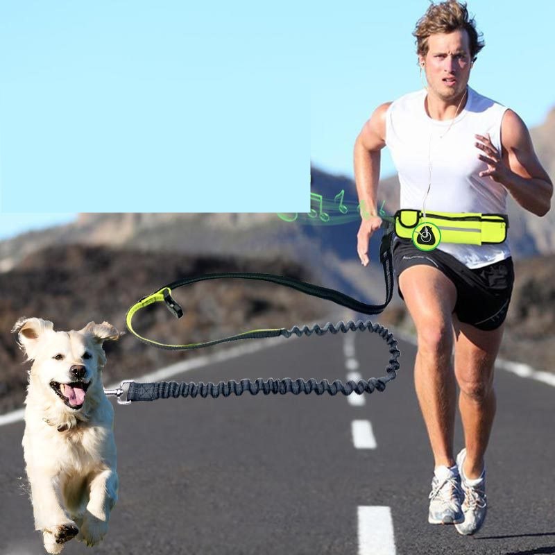 Hands-Free Running Lead & Waist Belt