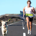 Hands-Free Running Lead & Waist Belt