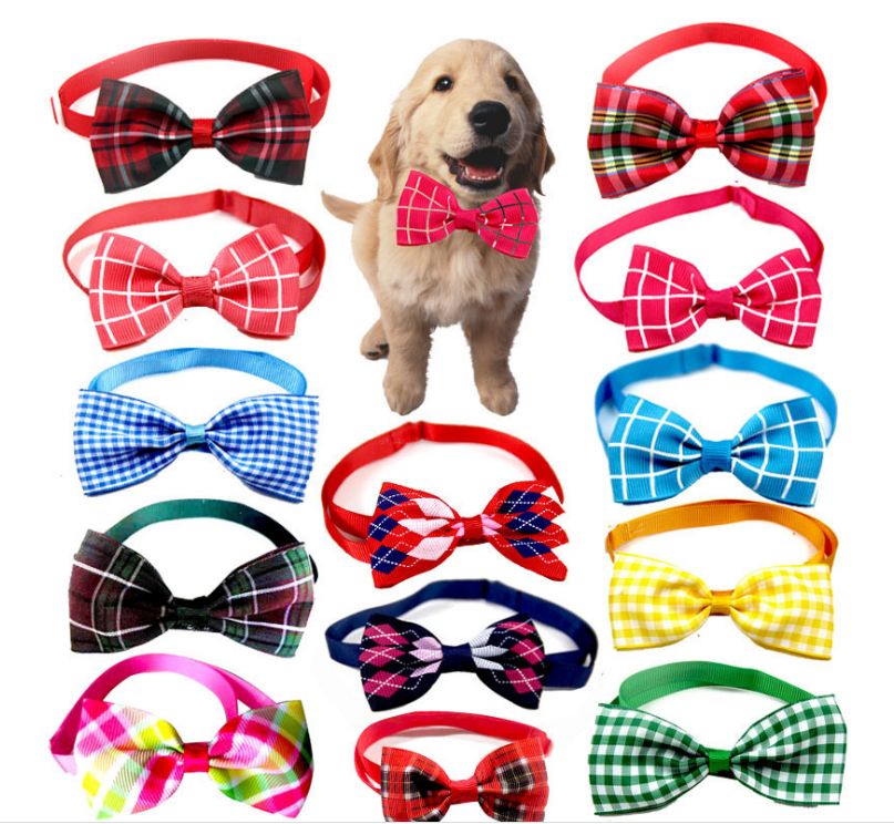 Bow Tie Collar