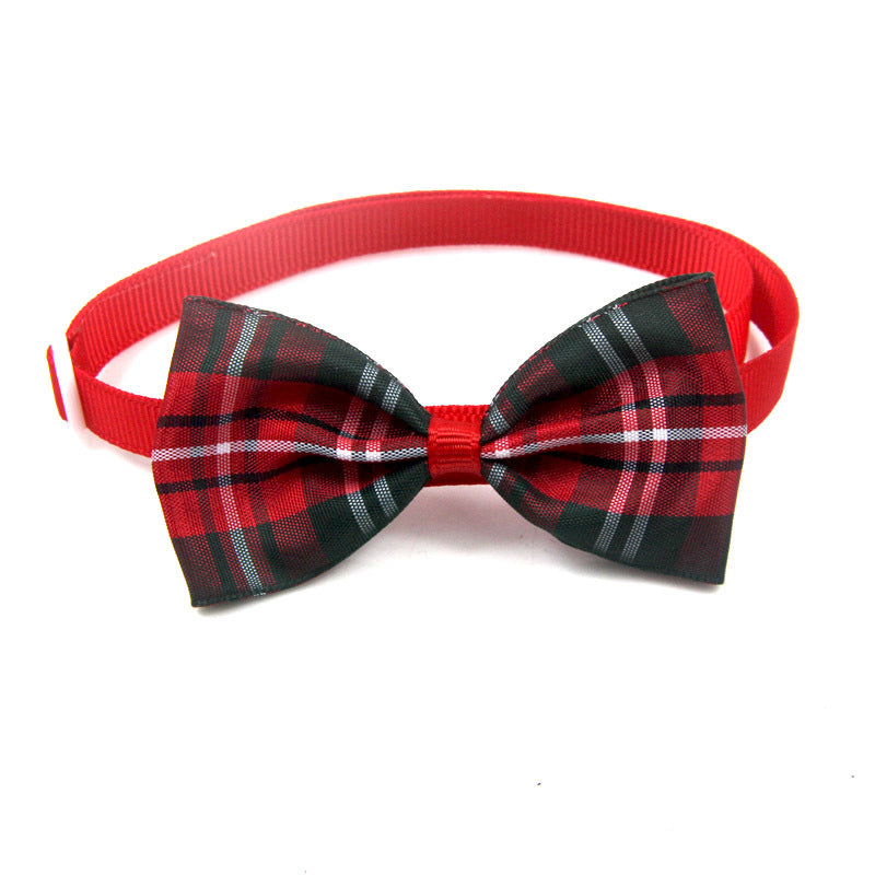 Bow Tie Collar