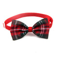 Bow Tie Collar