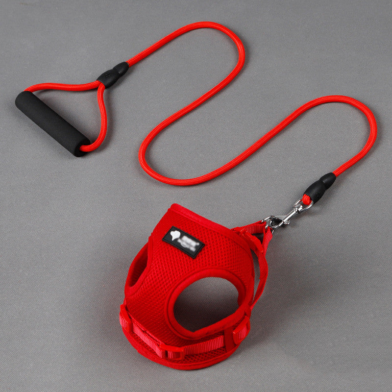 Mesh Harness & Lead Set