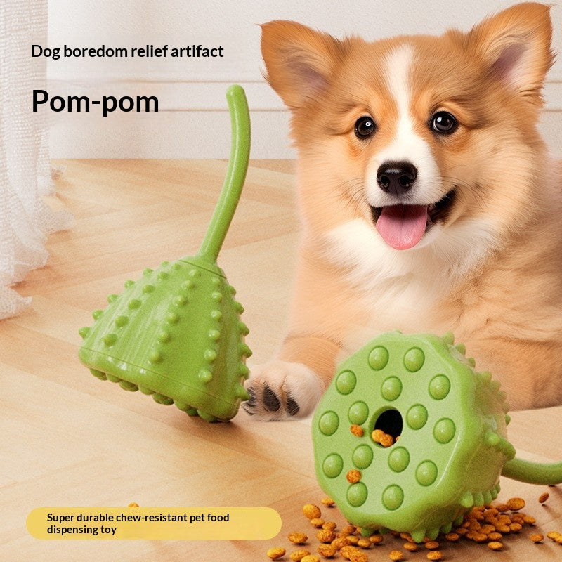 Dog with treat-dispensing toy