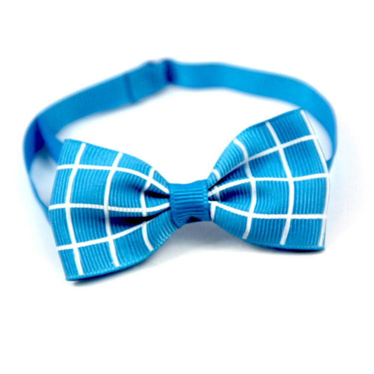 Bow Tie Collar