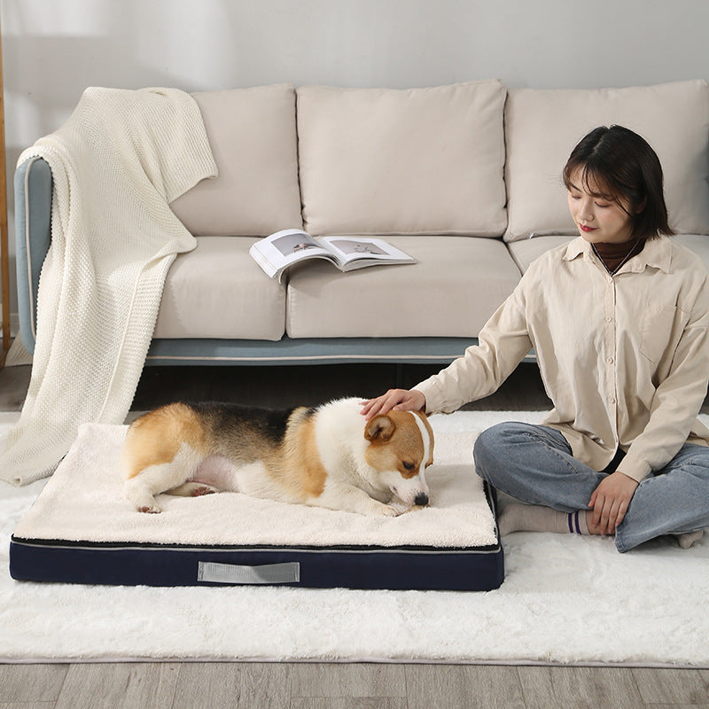 Owner with dog on mattress