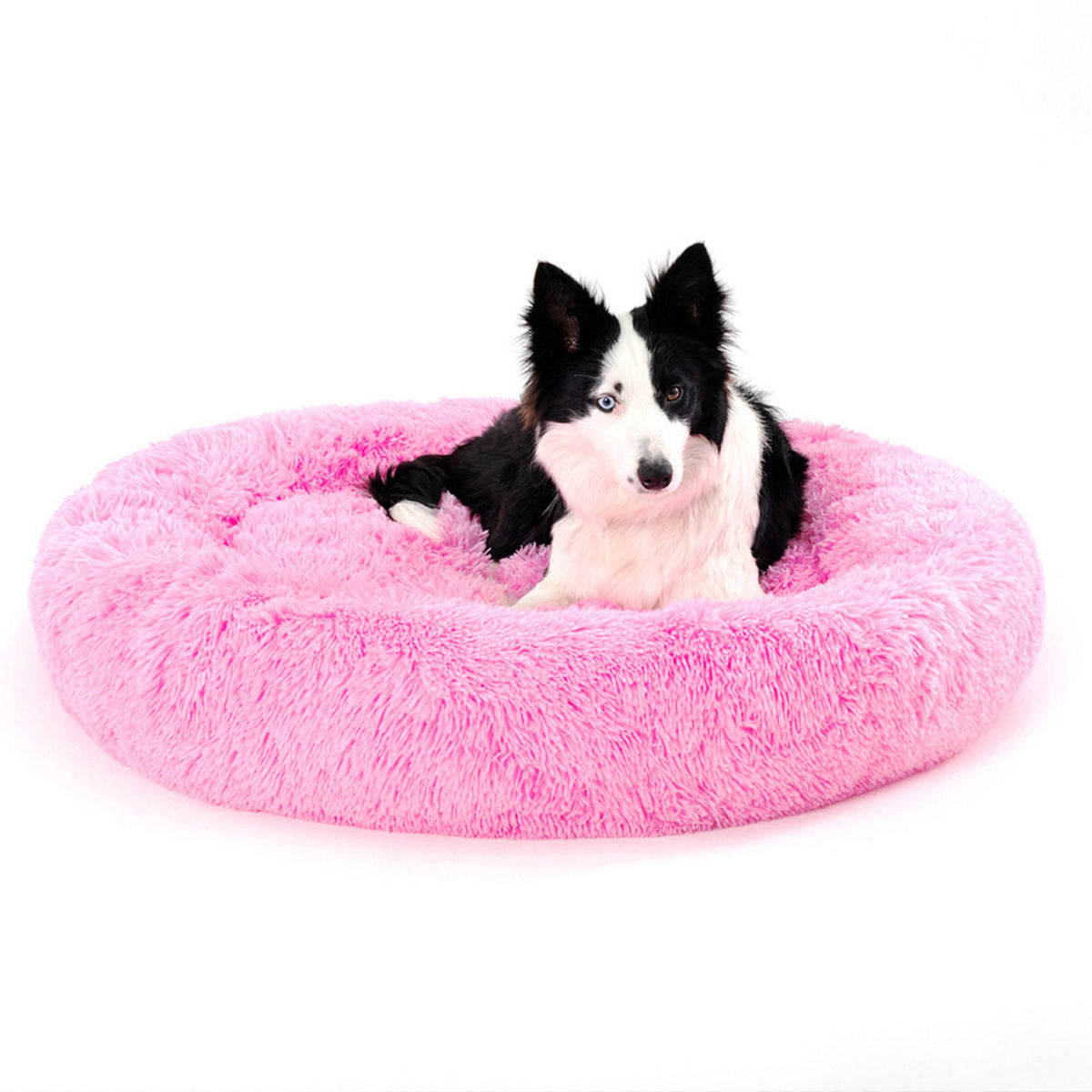 Snooze Donut calming dog bed