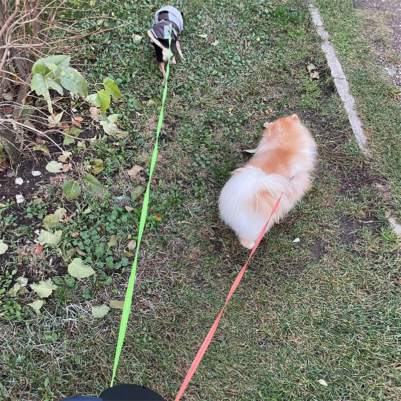 Retractable Lead for 2 Dogs