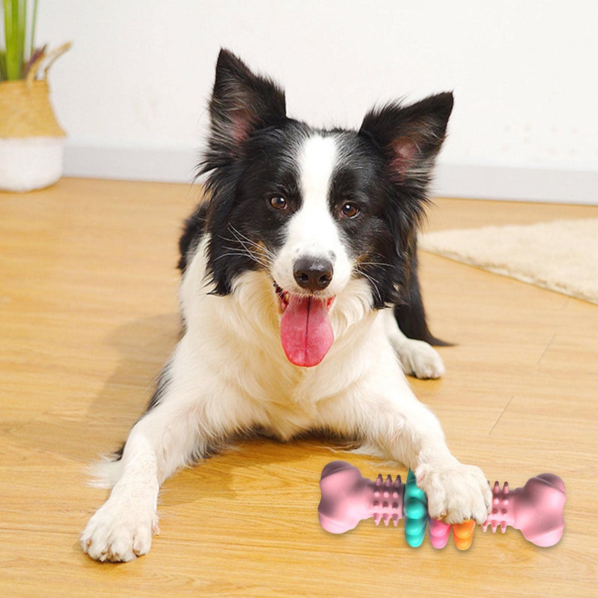 Tough Chew Bone