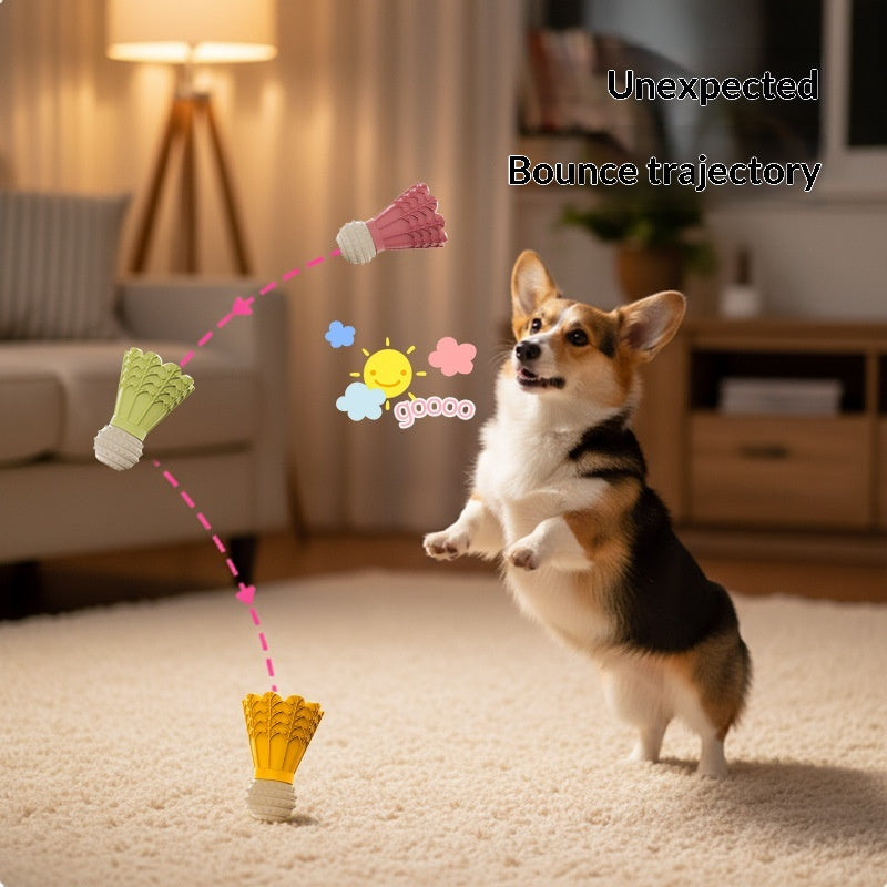 Corgi playing with chew toy