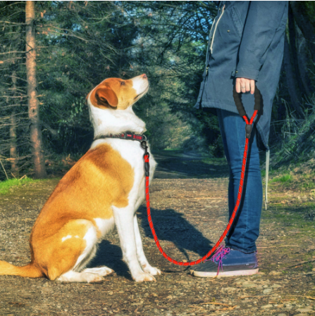 Reflective Rope Lead