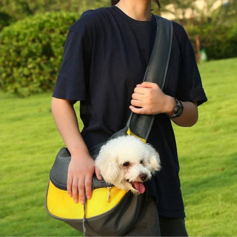 Small Dog Carrier