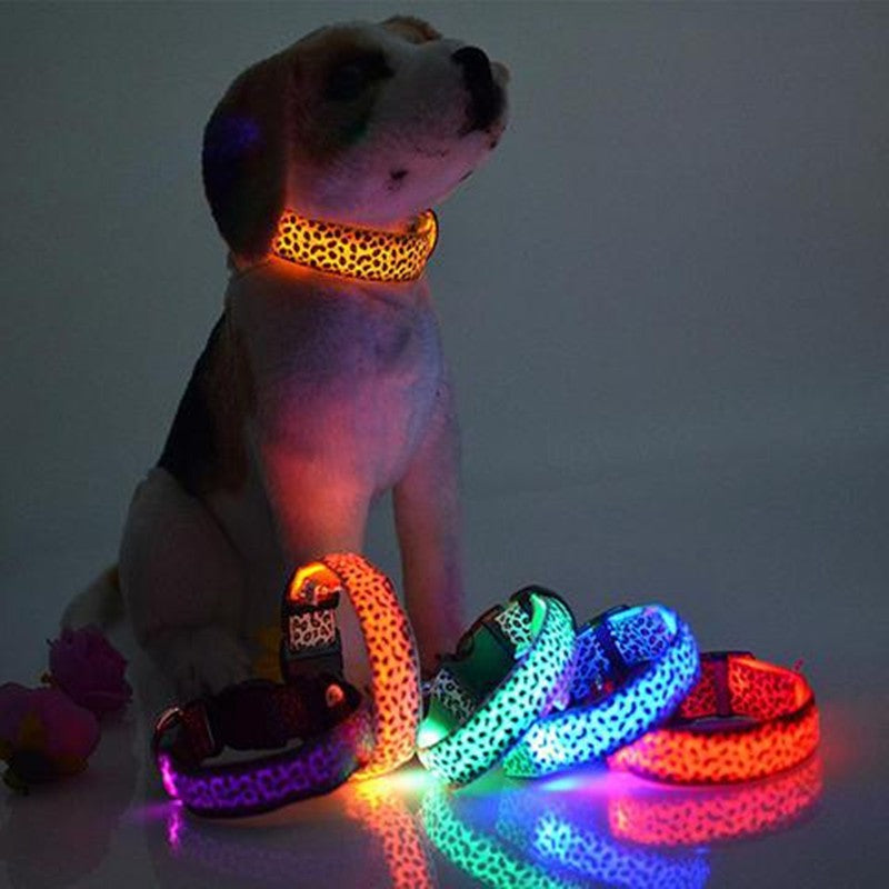Rechargeable LED dog collar