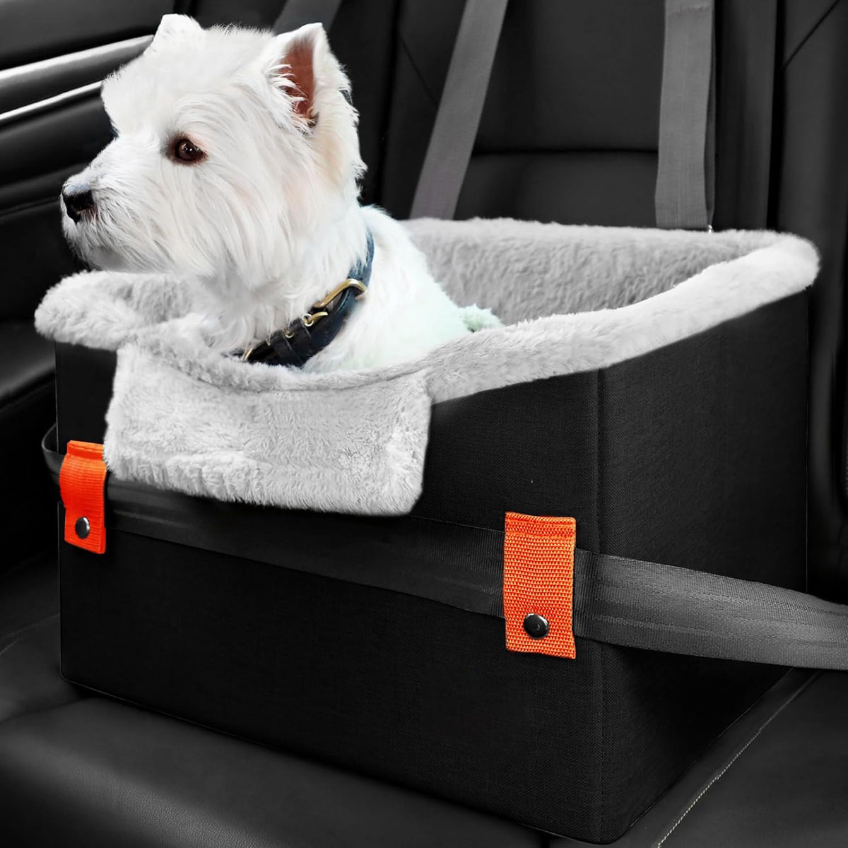Small Dog Car Booster Seat