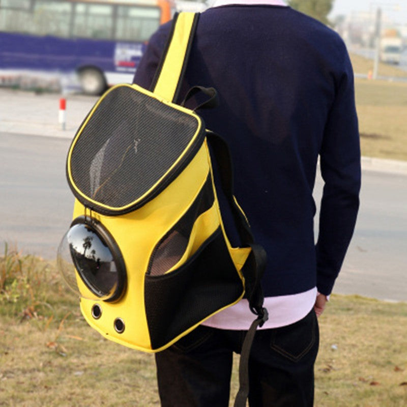 Bubble Window Backpack