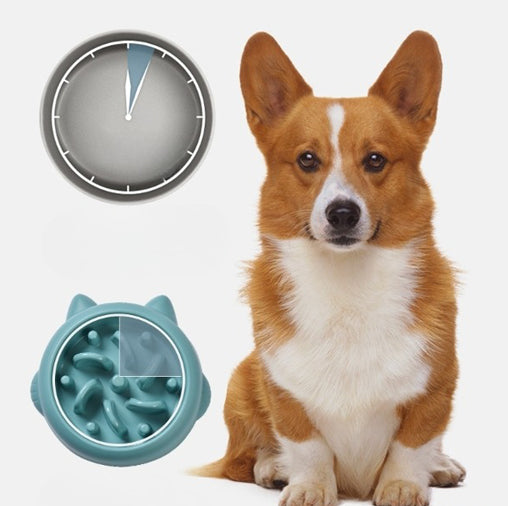 Anti-Gulp Slow Feeder Bowl