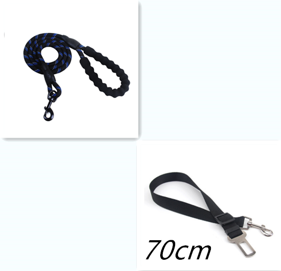 Reflective Rope Lead