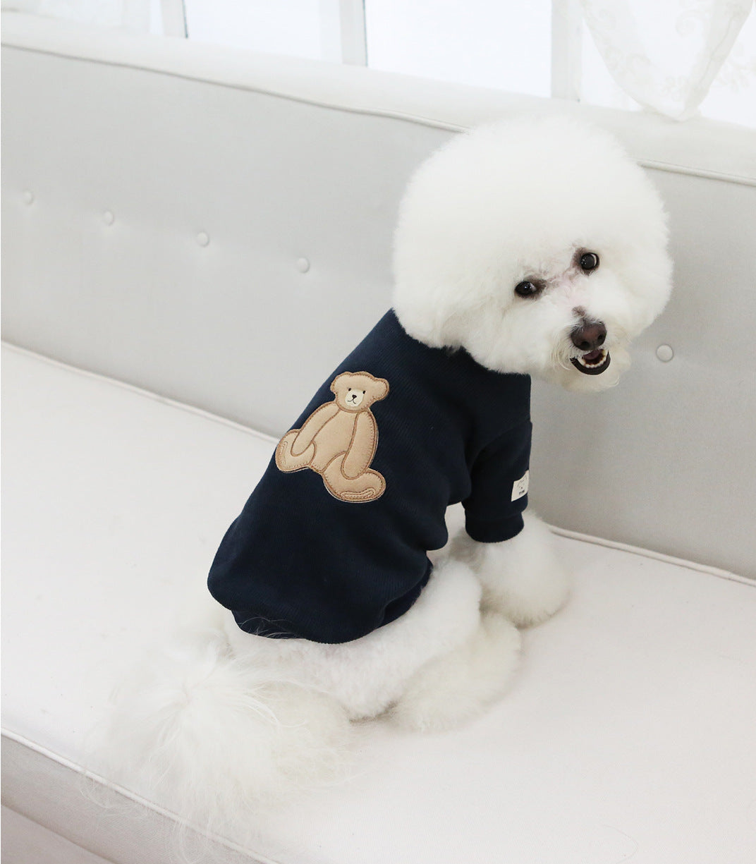 Navy dog jumper