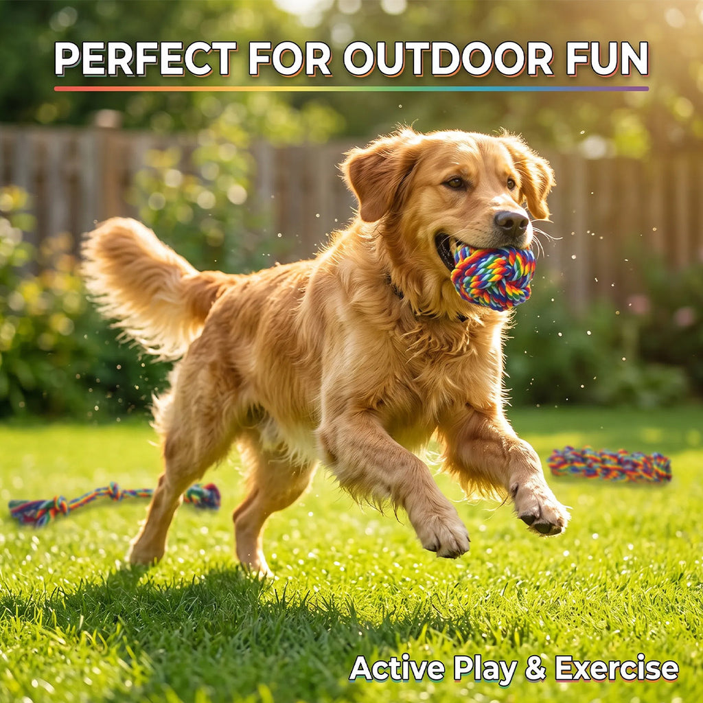 6-piece rope toy set