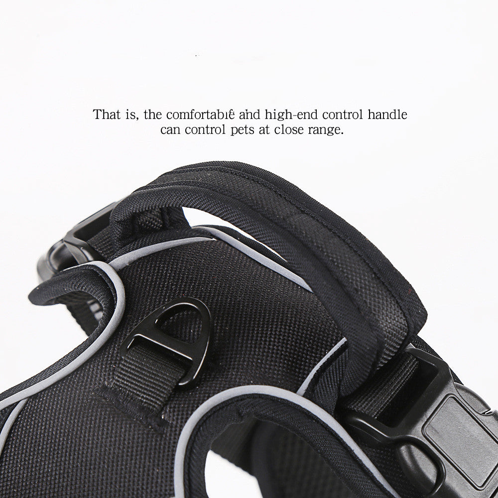 No-Pull Reflective Harness