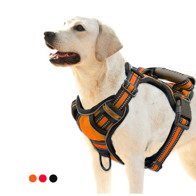 No-Pull Reflective Harness