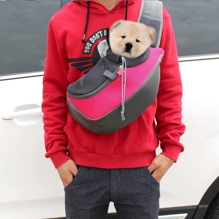 Small Dog Carrier