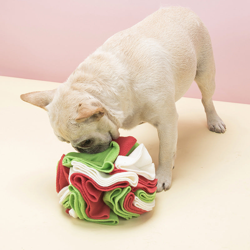 Dog sniffing a snuffle ball